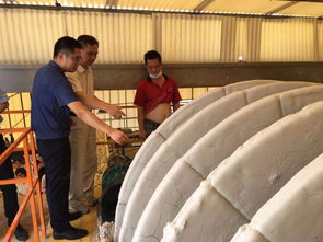 即日起至9月底,南庄全面开展陶瓷行业固体废物专项整治